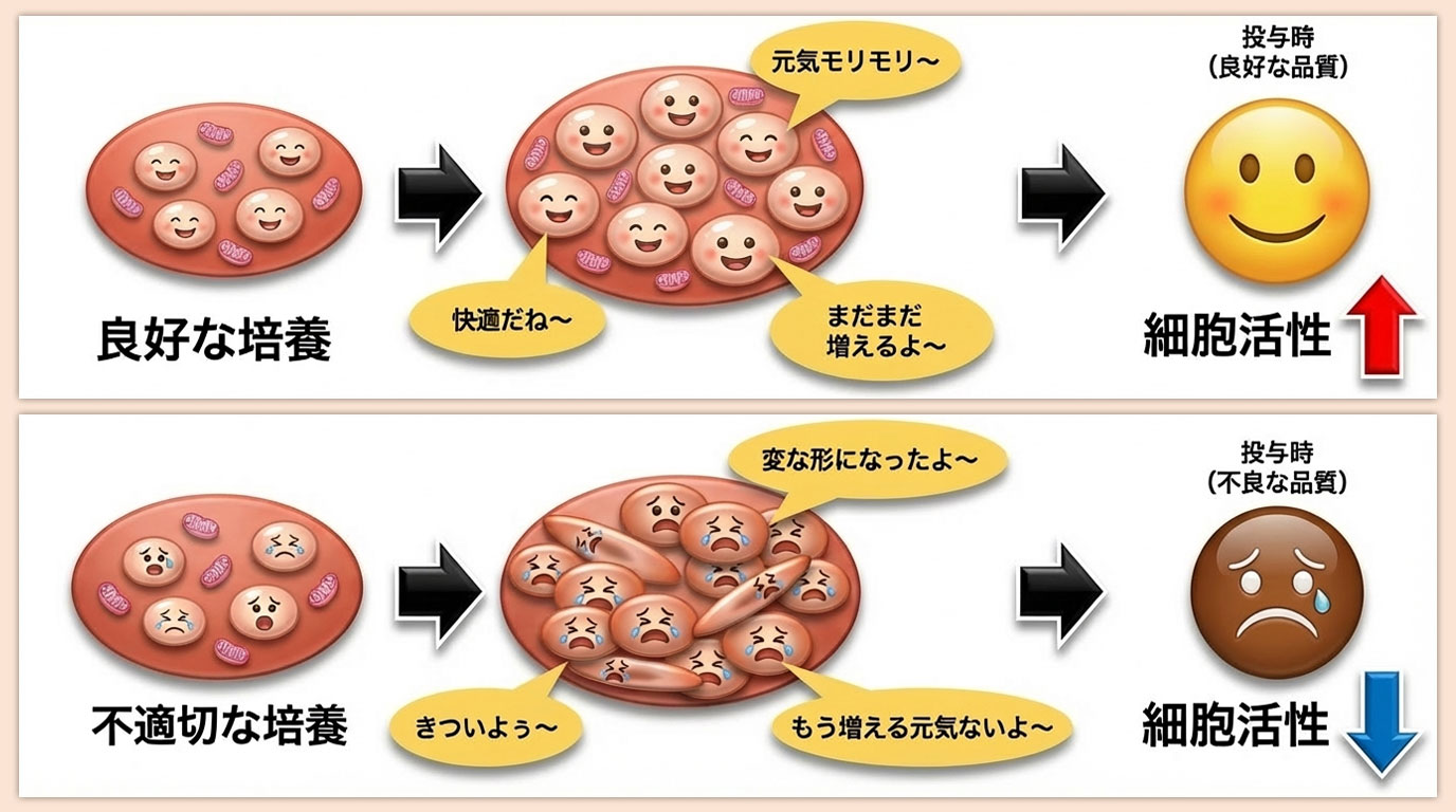 良好な培養と不適切な培養の比較